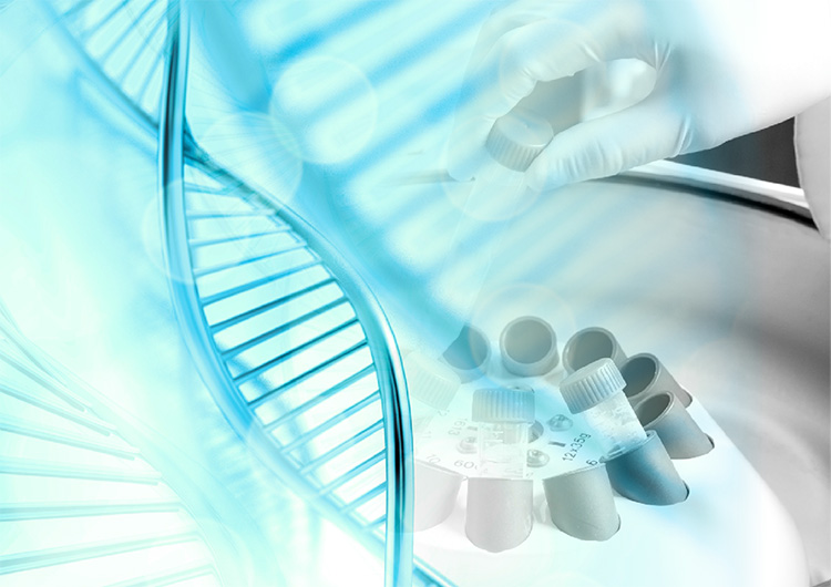 O que é Laboratório de Histocompatibilidade?